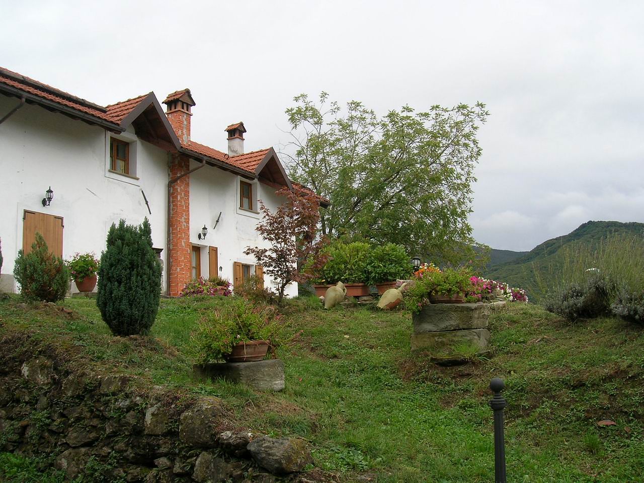 Sasello
